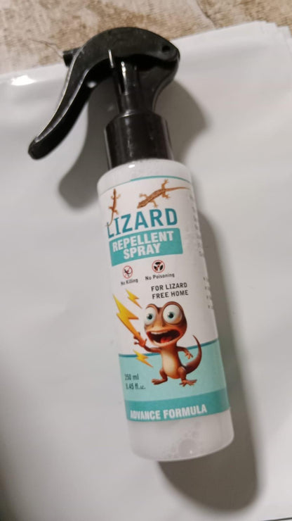 ShieldHome – Natural Cedarwood Lizard & Pest Repellent Spray -  Pack of 2
