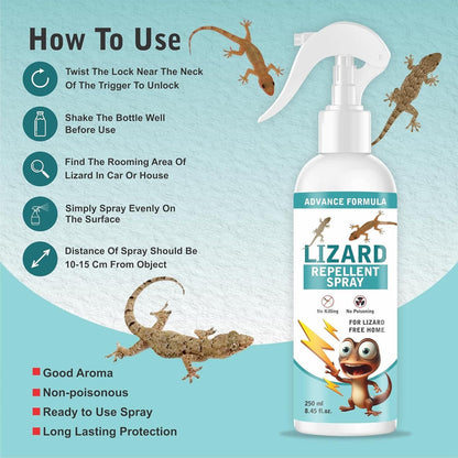 ShieldHome – Natural Cedarwood Lizard & Pest Repellent Spray -  Pack of 2
