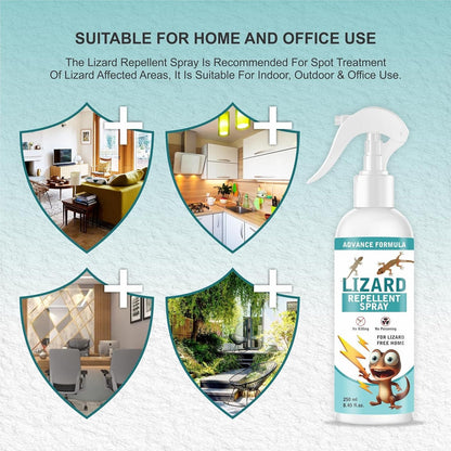ShieldHome – Natural Cedarwood Lizard & Pest Repellent Spray -  Pack of 2